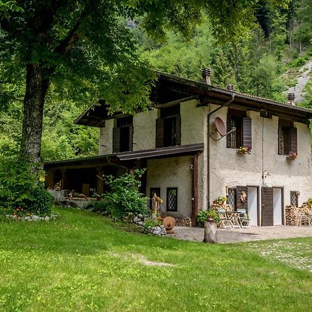 Chalet Silenthia Villa Lenzumo di Concei Exteriör bild