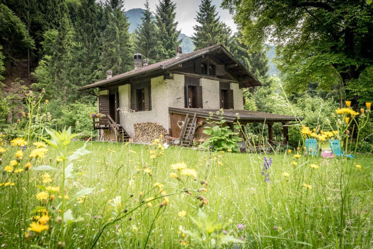 Chalet Silenthia Villa Lenzumo di Concei Exteriör bild