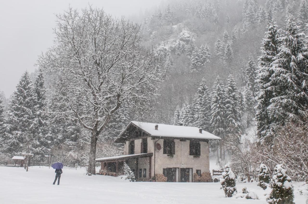Chalet Silenthia Villa Lenzumo di Concei Exteriör bild